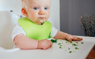 Baby-Led Weaning: Empowering Infants who are Starting Solid Foods