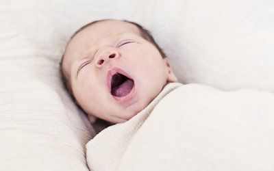 A Guide to Efficiently Utilizing the Willow Breast Pump